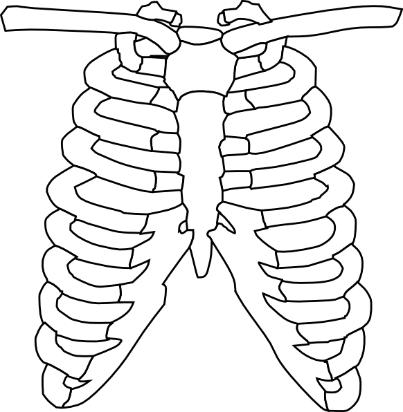Skeleton Outline