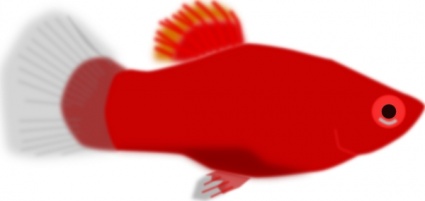 red-aquarium-fish-clip-art.jpg