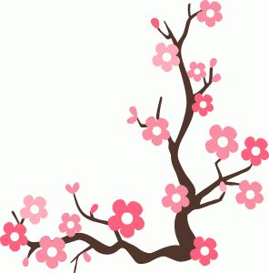 Cherry Blossom Branches | Cherry ...