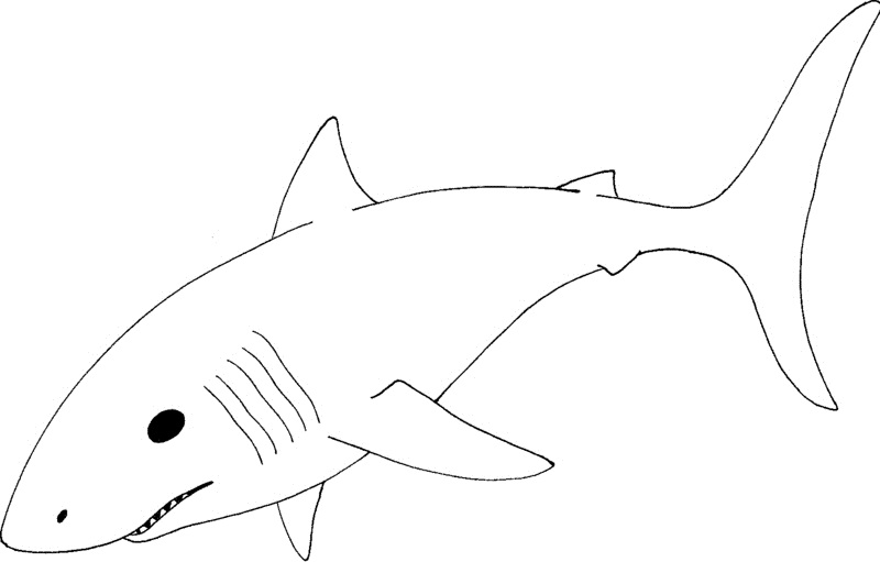 Printable Shark Coloring Pages | Coloring Me