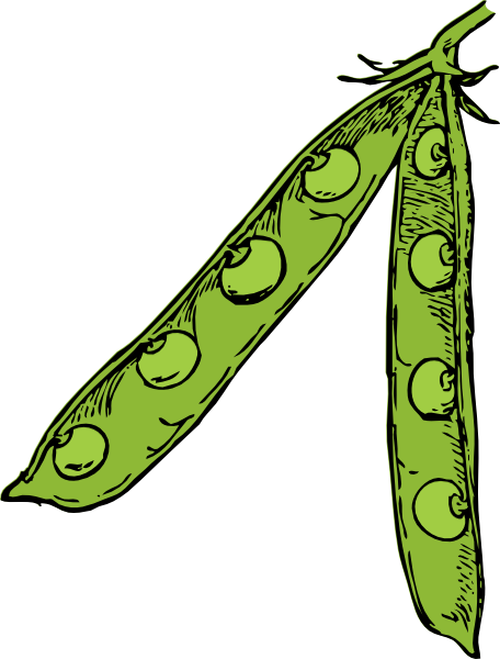 Peas Can Clip Art - ClipArt Best