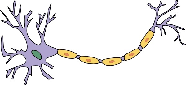 Neuron free vector download (4 Free vector) for commercial use ...