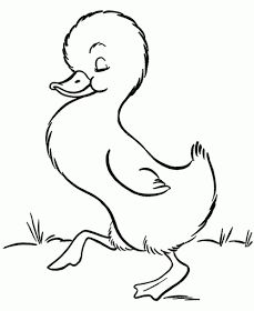 Cartoon, Drawings and Ducks