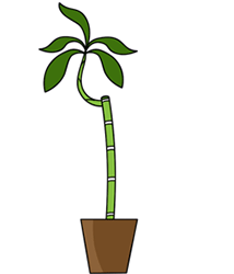 Cartoon Bamboo Tree - ClipArt Best