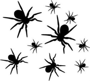 12 Spider Stickers Car/Bike/Home - Choice of Colours | eBay