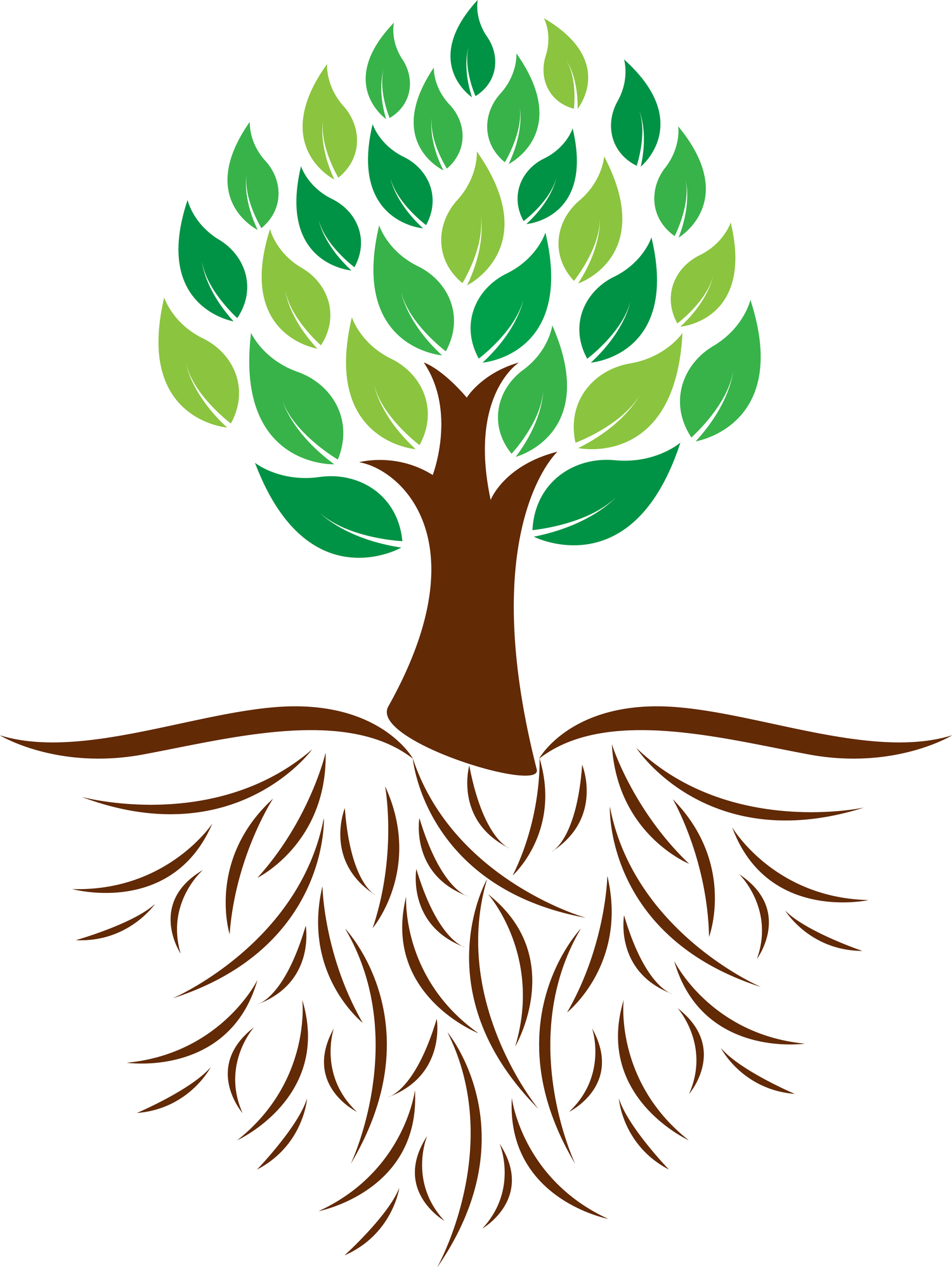 Roots of tree clipart