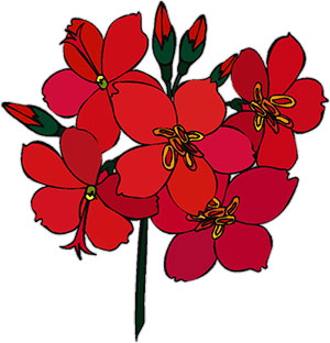 Red Flowers - ClipArt Best