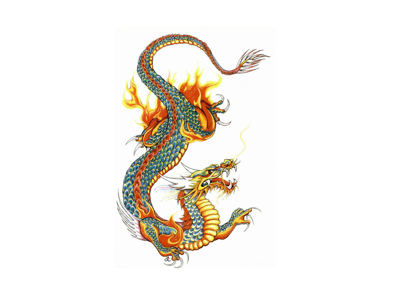 japanese dragons tattoo designs