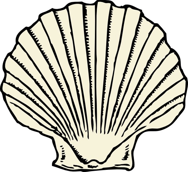 Best Photos of Cartoon Sea Shell Drawings - Cartoon Sea Shell Clip ...