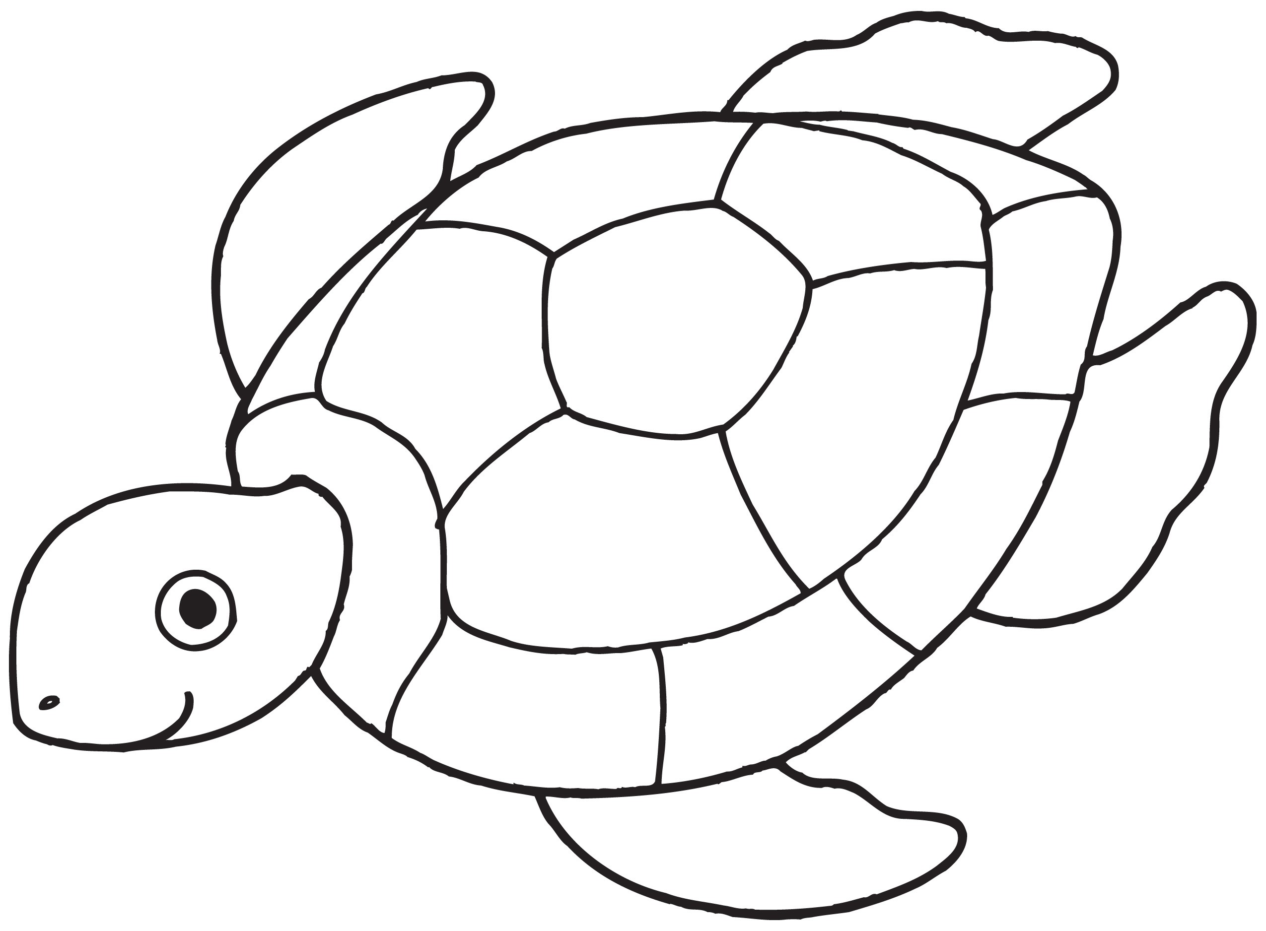 Clipart turtles free