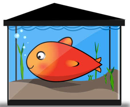 Fish tank clipart