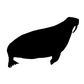 Walrus Silhouette Stencil | Free Stencil Gallery