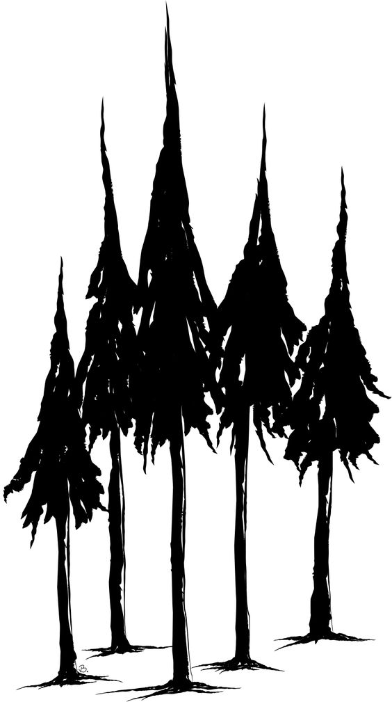 Tree line, Tree silhouette and Pine