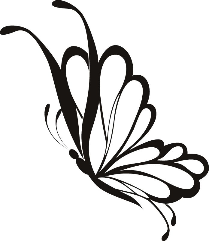 Simple, A butterfly and Drawings