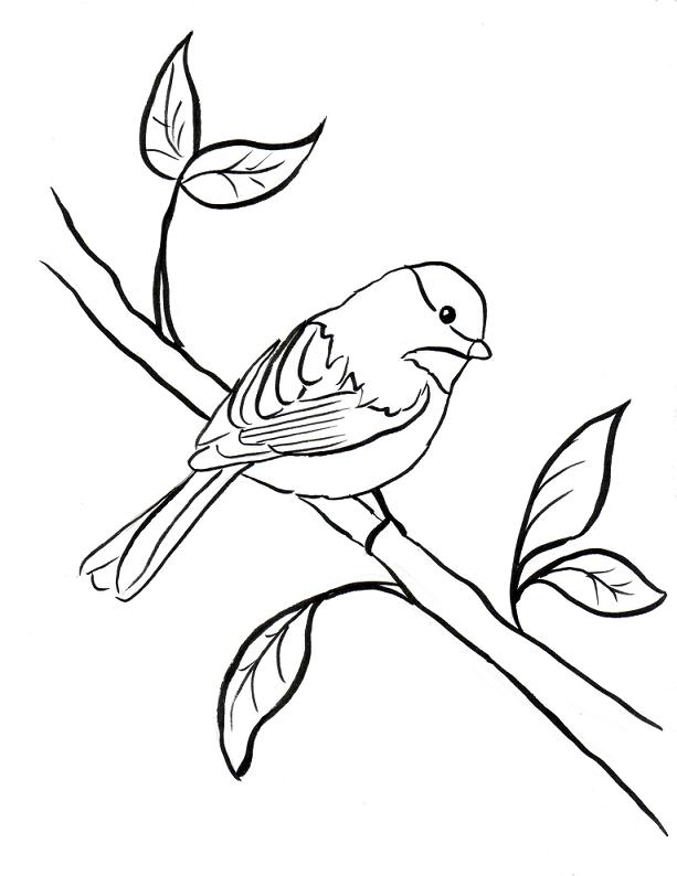 Chickadee Clip Art