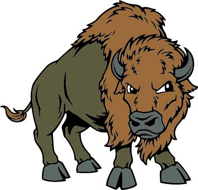 Buffalo kansas bison clipart kid - Clipartix