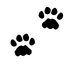 Cat Paw Print Stencil - ClipArt Best