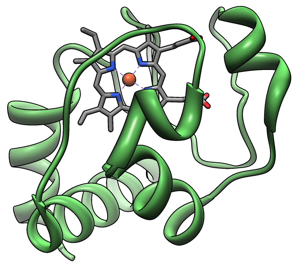 Cytochrome_C.png