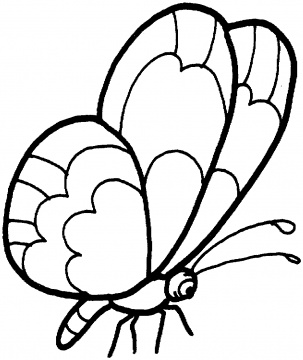 Butterfly coloring pictures | Super Coloring | - Part 2