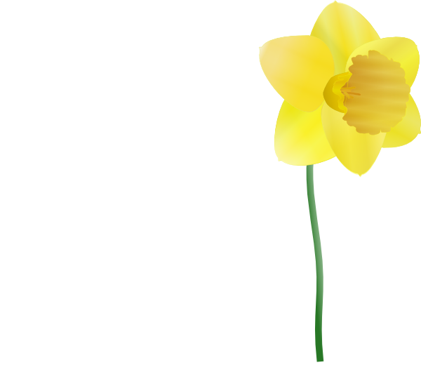 Daffodil Clip Art - vector clip art online, royalty ...