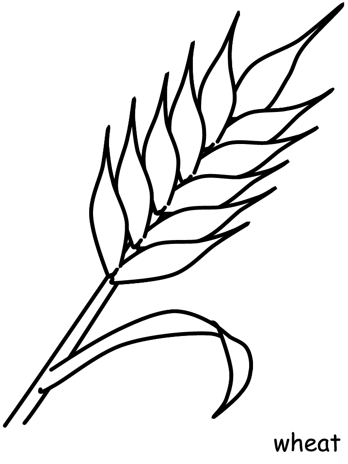 Jesus Coloring Pages Lds. printable wheat flowers coloringpagebook ...