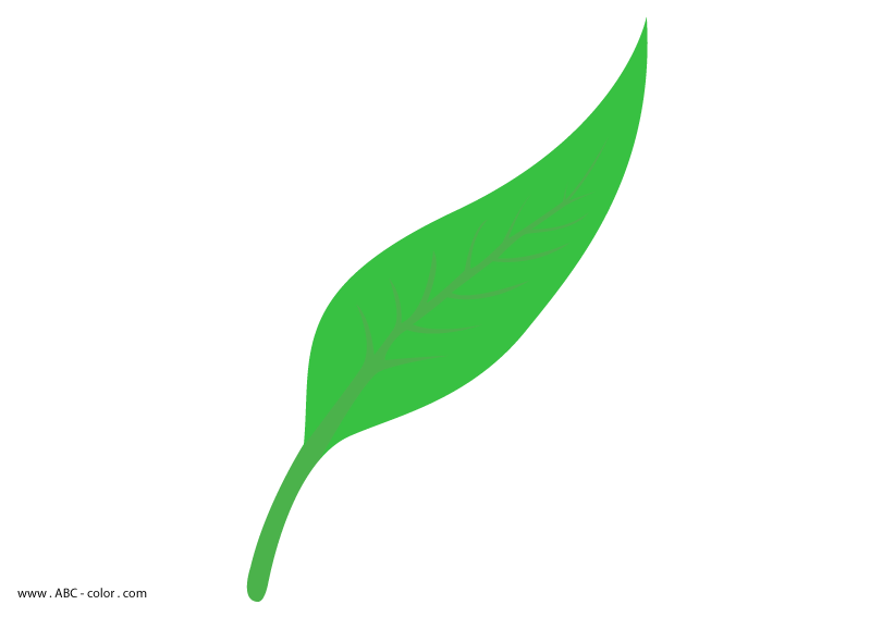 Leaf Shape Clipart