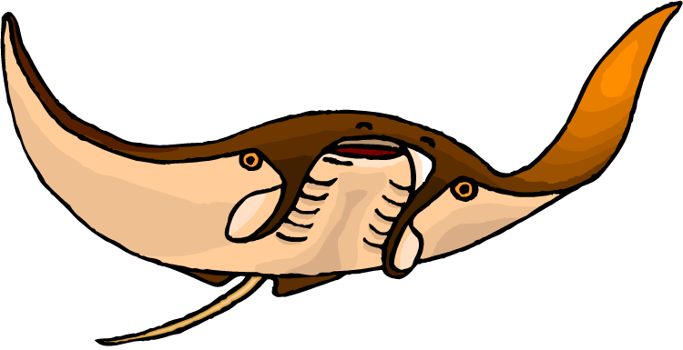 Stingray Clipart - The Cliparts