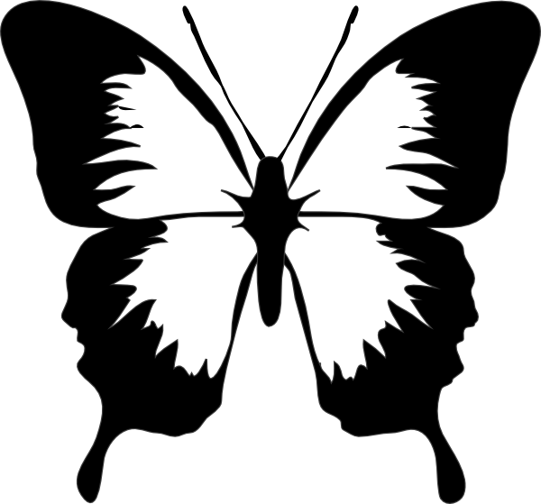 News Butterfly: Butterfly Cartoon Black And White