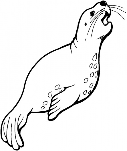 Sea Lions coloring pages | Super Coloring