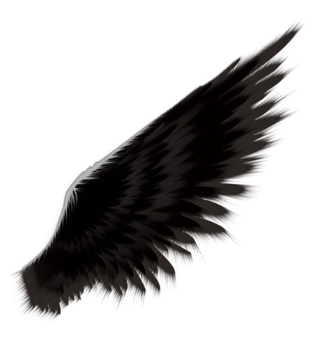 Angel Wings For Photoshop