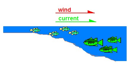 ColoradoCasters: Don and the Windy Shelf Pig