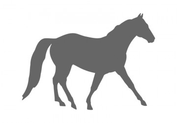 Horse Craft Shapes - Horse Shapes | Craftcuts.com