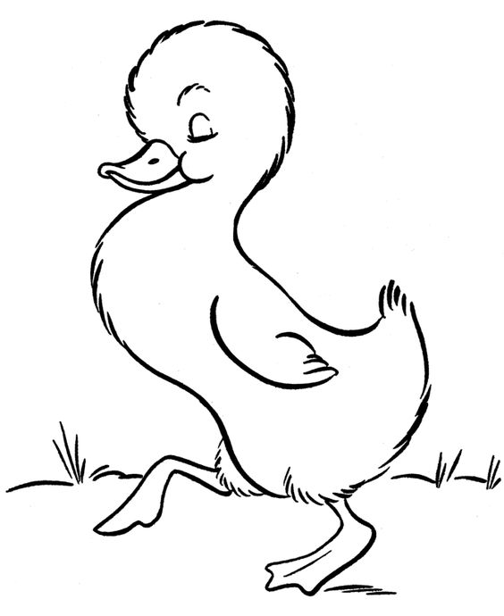 Coloring, Cute coloring pages and Ducks