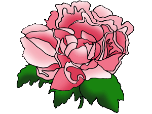 Carnation Clipart | Free Download Clip Art | Free Clip Art | on ...