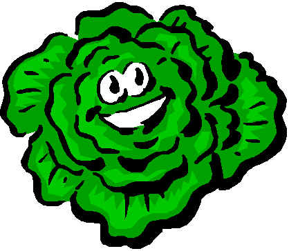 Pix For > How To Draw A Lettuce