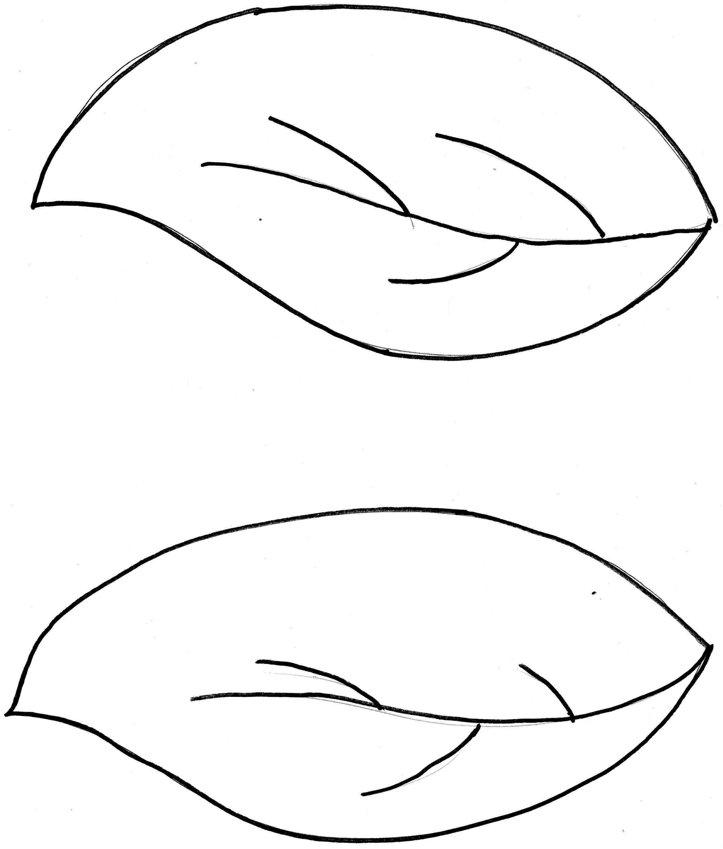 Jungle Leaf Template