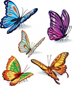 Colorful Butterflies Vector Art Free vector in Encapsulated ...