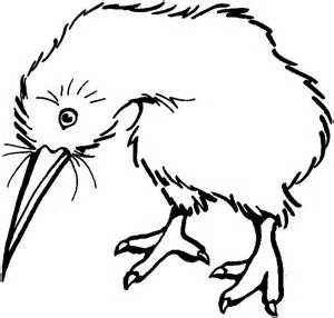Coloring Pages Kiwi bird - Allcolored.com