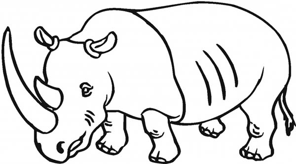 Rhino Coloring Page Drawing Rhino Coloring Pages Batch Coloring ...