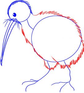 Drawing Printout: How to Draw a Kiwi