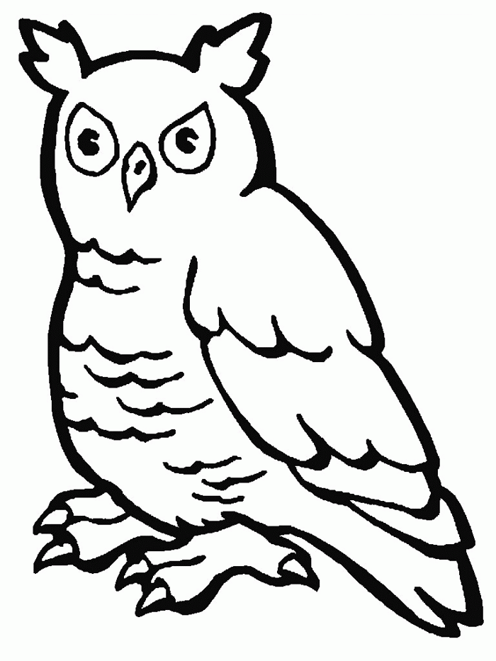 Funny Little Owl Coloring Page Picture Super Coloring