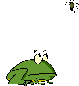 Frog_eat_spider.gif