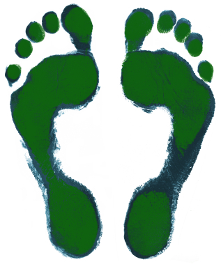 footprint | Rainy Day Art Supplies | Picture Framing | Grosse ...