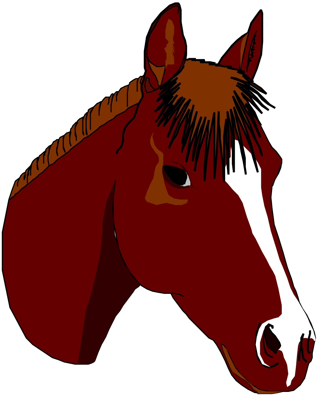 Cartoon Horse Image - ClipArt Best