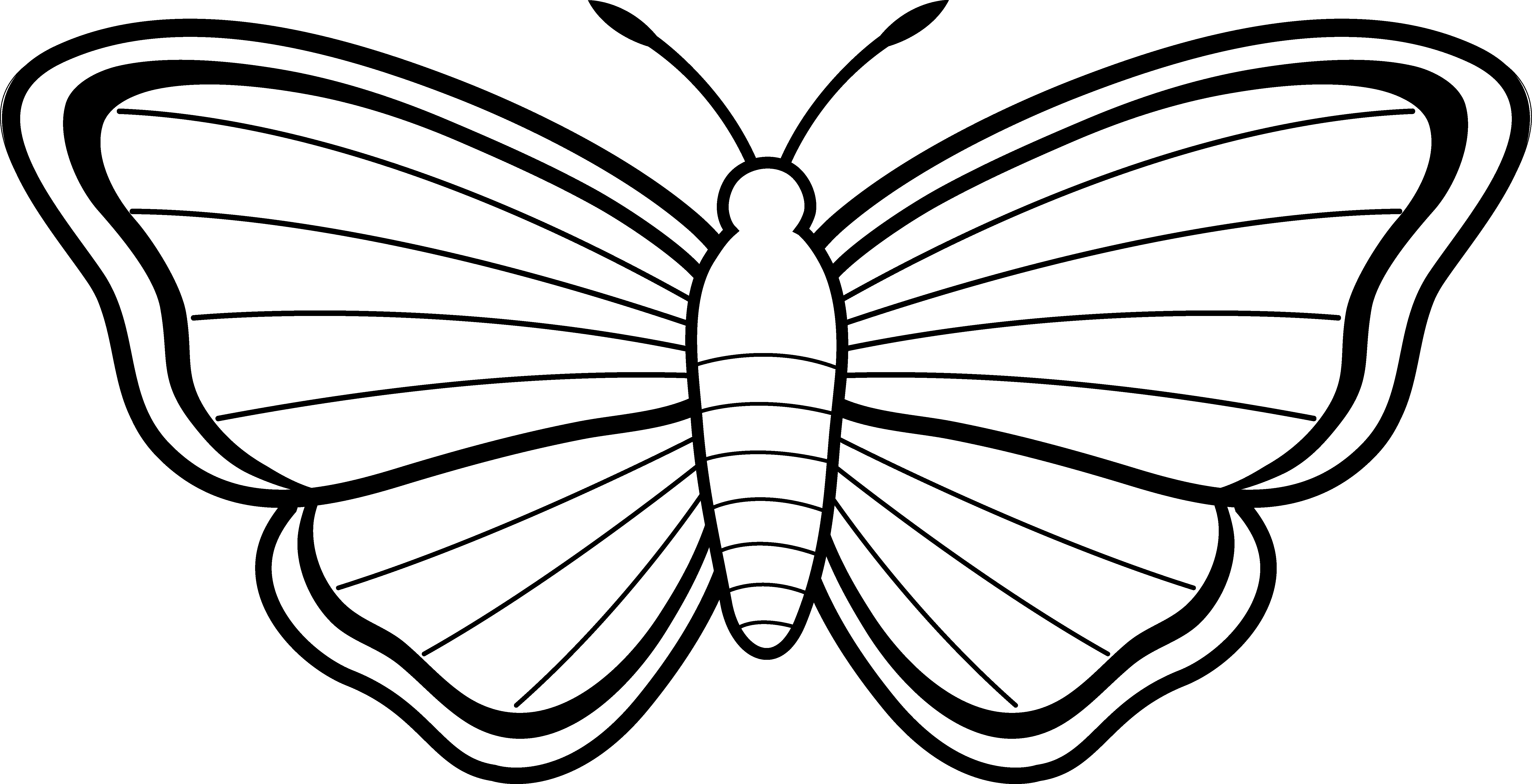 Butterfly Wing Outline | Free Download Clip Art | Free Clip Art ...