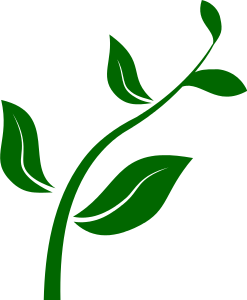 Plant stem clipart