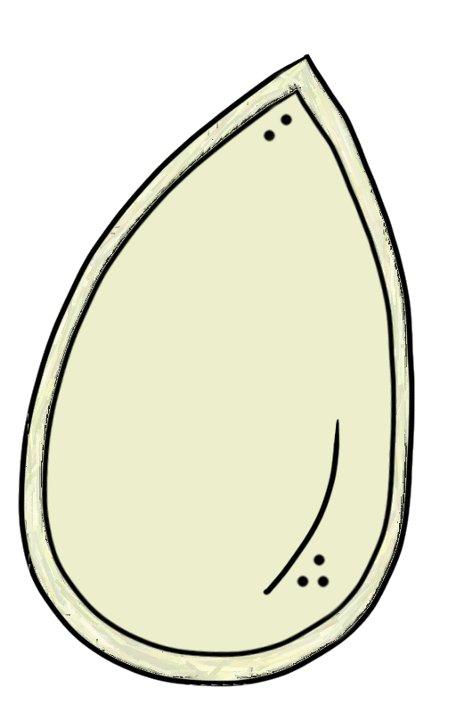 Pumpkin Seed Clipart