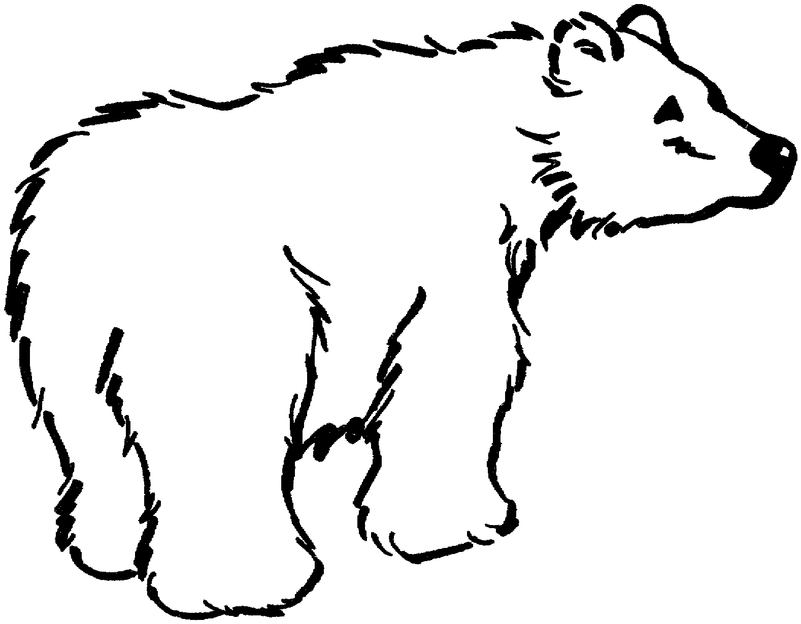 Black Bear Outline ClipArt Best