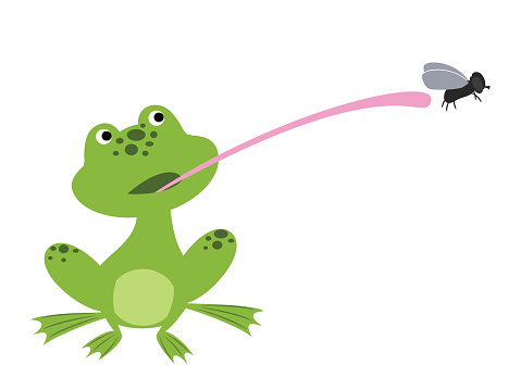 Cartoon Of A Frog Tongue Clip Art, Vector Images & Illustrations ...