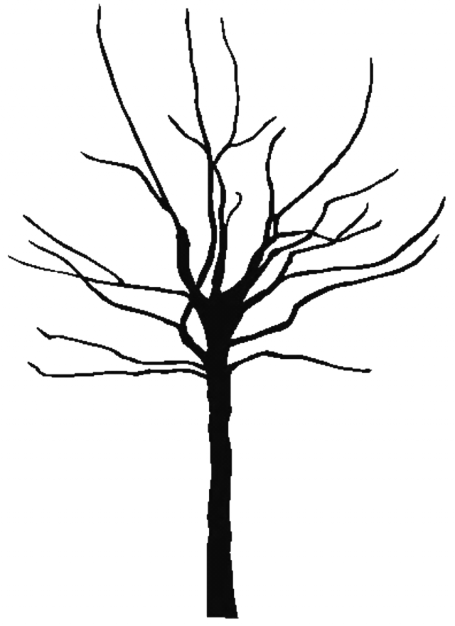 Bare Fall Tree Coloring Page - AZ Coloring Pages